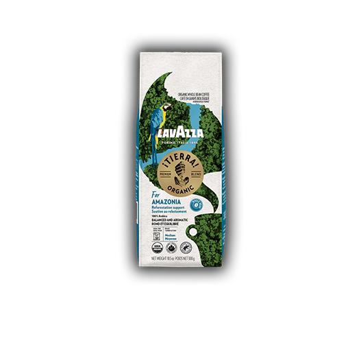 ¡Tierra! for Amazonia Whole Bean